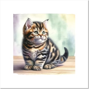 Manx Watercolor Kitten - Cute Kitties Posters and Art